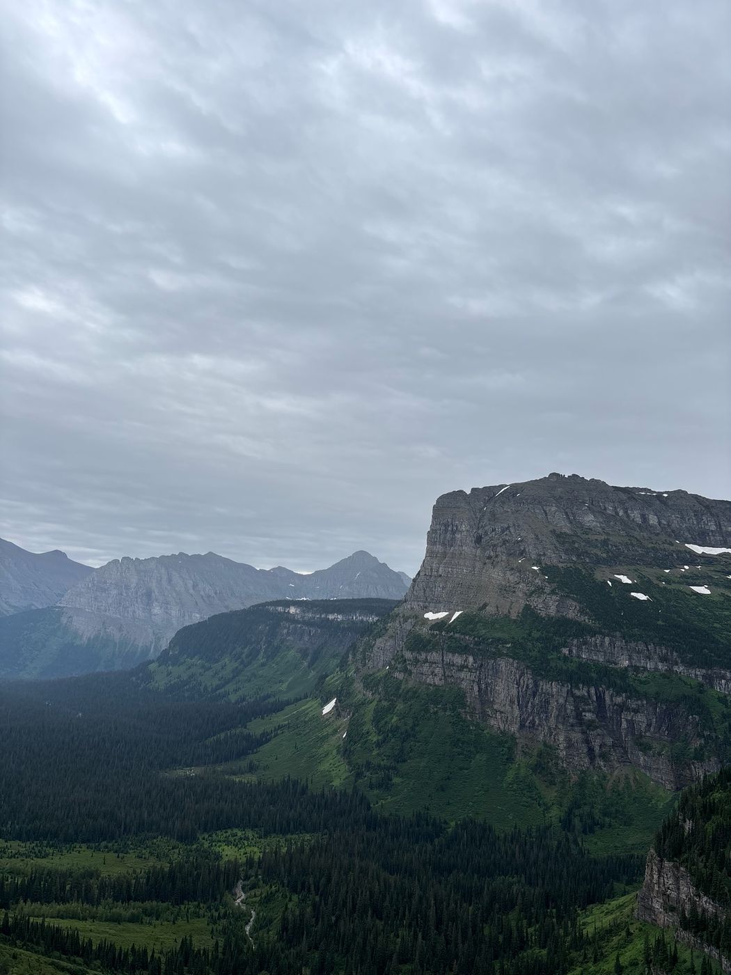 Cliff face above a forested valley